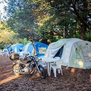 Camping Camping